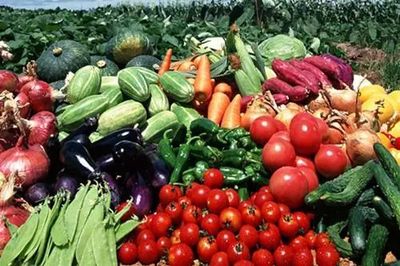 廣東人民最關(guān)心的十個(gè)食品藥品安全問(wèn)題，答案都在這里！——聚焦食用農(nóng)產(chǎn)品